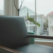 Sea Pines 100% Organic Throw Blanket