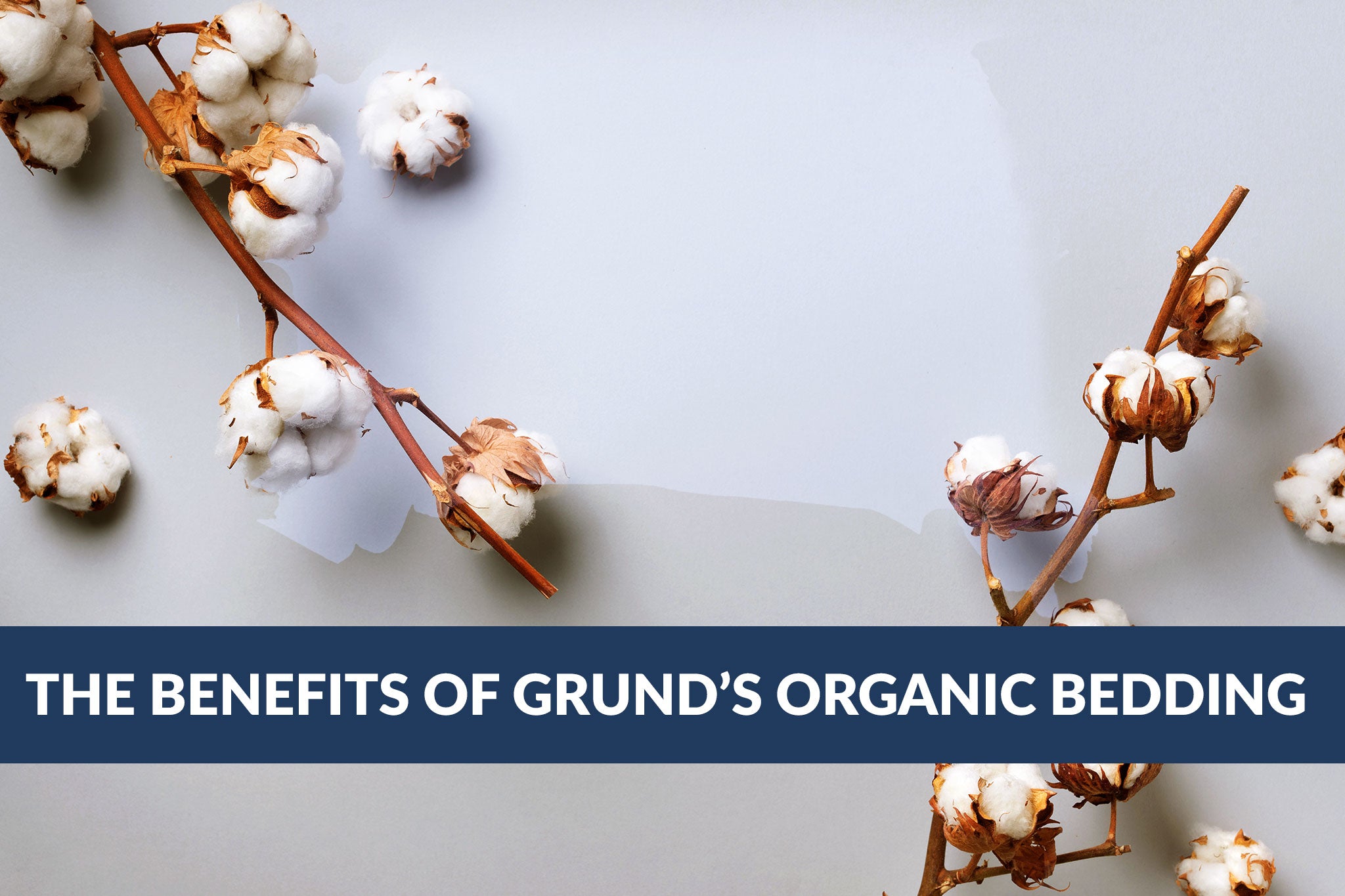 The Benefits of Grund’s Organic Bedding